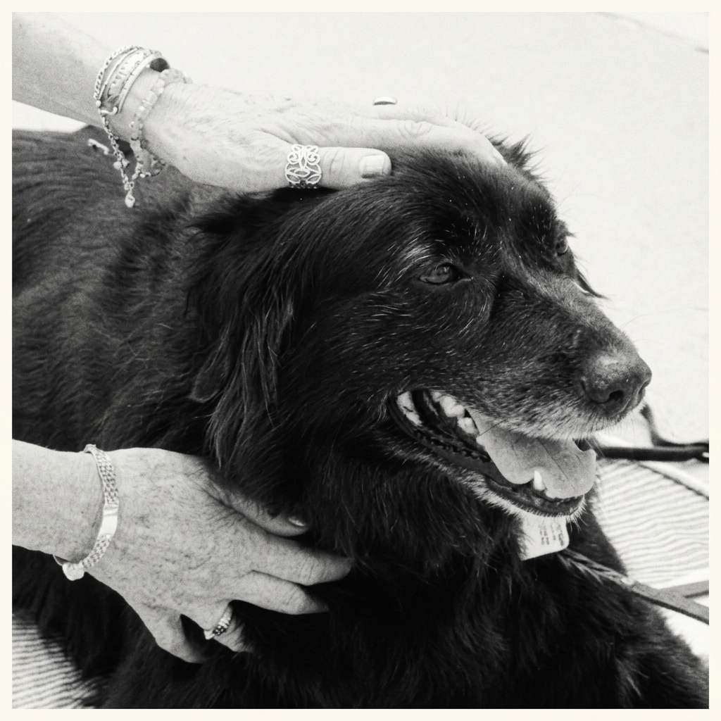 quanyinReiki